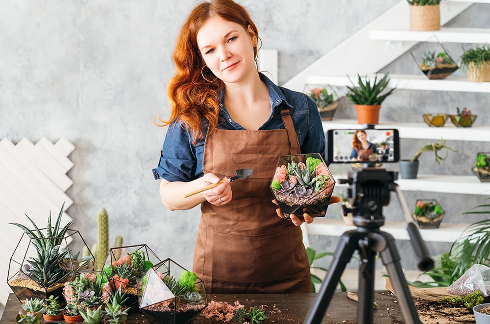 Virtual Succulent Garden Class