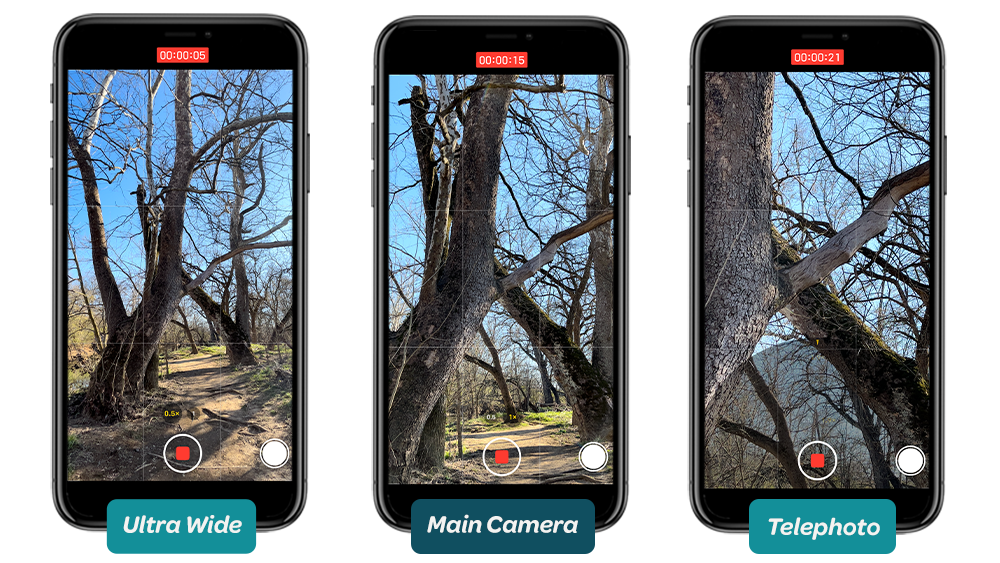 Iphone-comparison-BlogGraphic-lenses